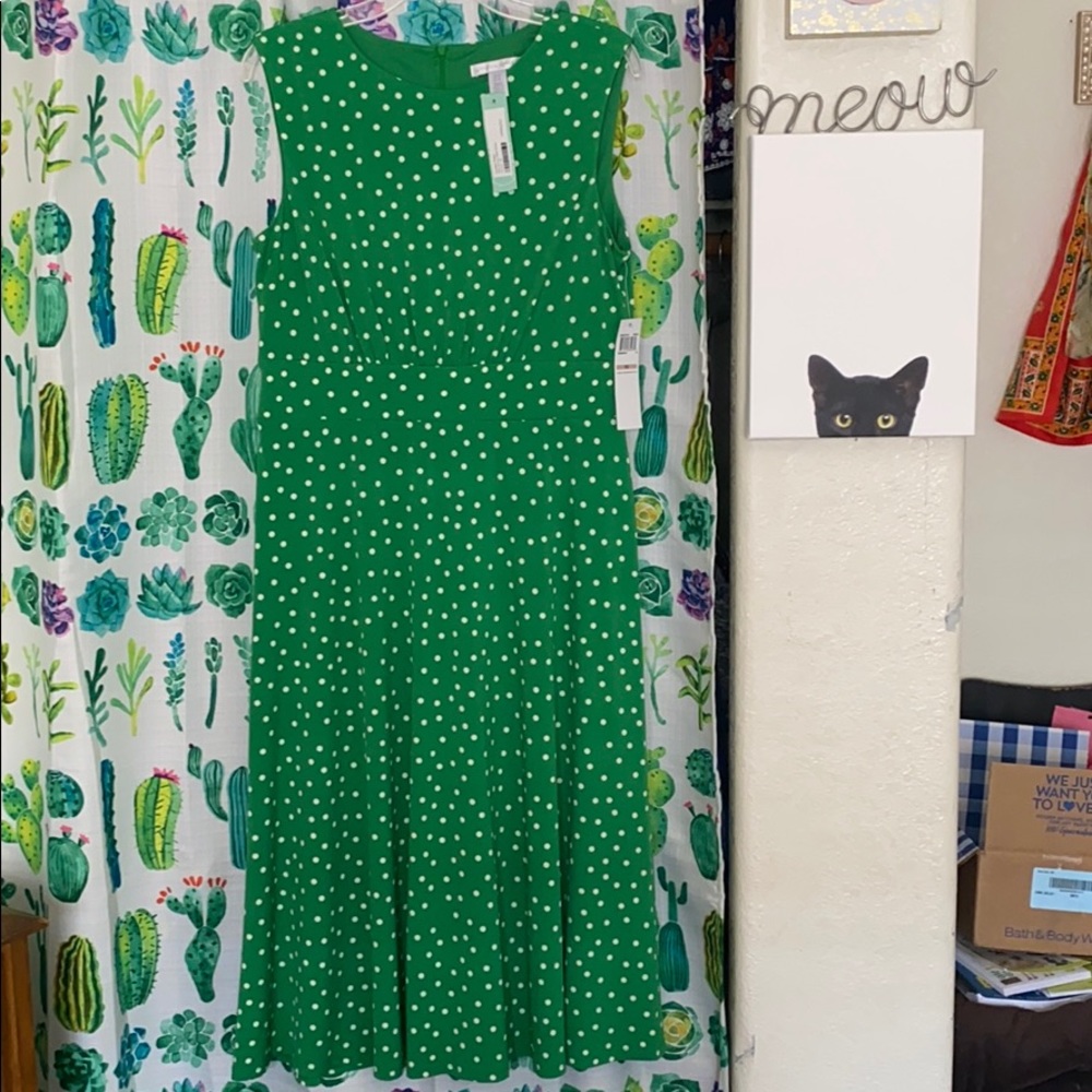 Size 12 London Times Polka Dot dress